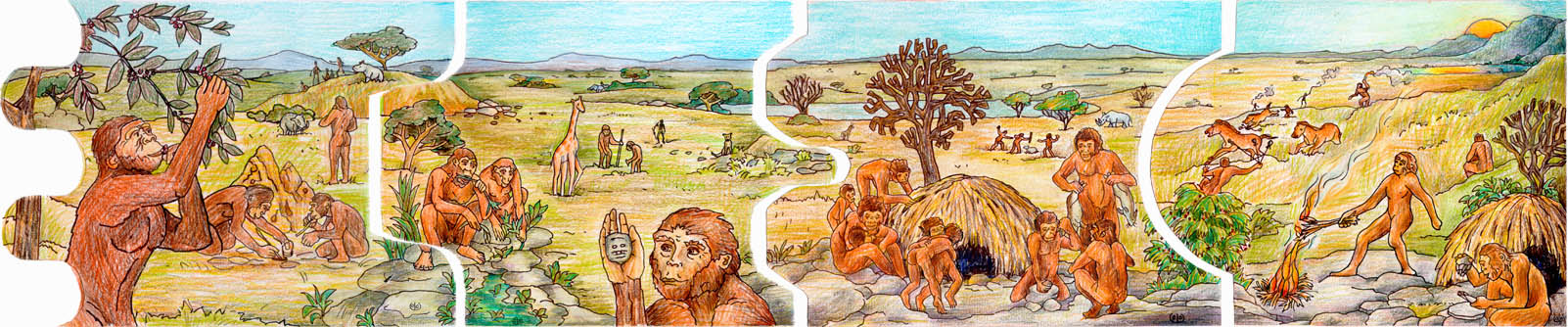 from 10 million to 1 million years ago-6-9