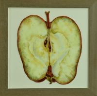 apple-40x40cm S