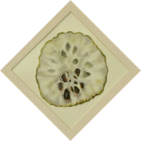 custardapple-S-65x65cm