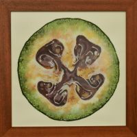 feijoa-40x40cm S