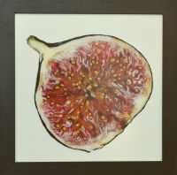 fig-40x40cm S