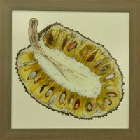 jackfruit-40x40cm S