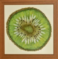 kiwi-40x40cm-S.jpg