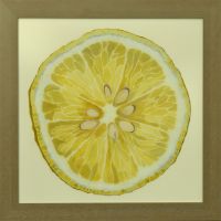 lemon-40x40cm S