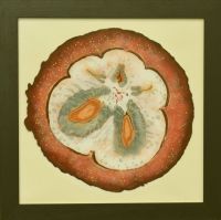 mangosteen-40x40cm-S.jpg