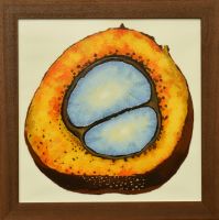 palmfruit-40x40cm-S.jpg