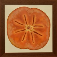 persimmon-40x40cm-S.jpg