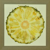 pine-apple-40x40cm S