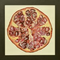 pommegranate-40x40cm S