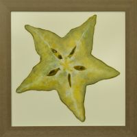 starfruit-40x40cm-S.jpg