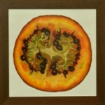 tamarillo-40x40cm S